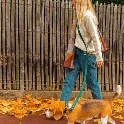 Pop Dog - Laisse Bandoulière Elégant Vert Pour Chien - XS/S -Animalerie Boutique 69001 1