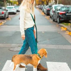 Pop Dog - Laisse Bandoulière Elégant Vert Pour Chien - M/L -Animalerie Boutique 69002