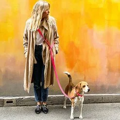 Pop Dog - Laisse Bandoulière Glouton Rose Pour Chien - M/L -Animalerie Boutique 69012