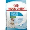Royal Canin - Croquettes Mini Starter Mother & Babydog Pour Chiot - 4Kg -Animalerie Boutique 72498