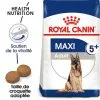 Royal Canin - Croquettes Maxi Adult 5+ Pour Grand Chien - 4Kg -Animalerie Boutique 74340