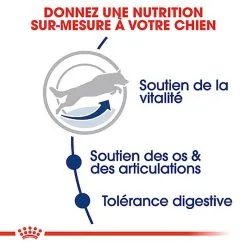 Royal Canin - Croquettes Maxi Adult 5+ Pour Grand Chien - 4Kg 9 Royal Canin - Croquettes Maxi Adult 5+ Pour Grand Chien - 4Kg -Animalerie Boutique 74341