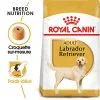 Royal Canin - Croquettes Labrador Adult Pour Chiens - 3Kg -Animalerie Boutique 74353