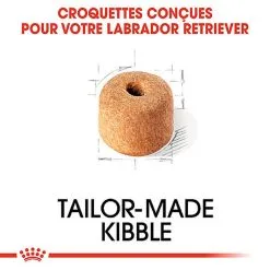 Royal Canin - Croquettes Labrador Adult Pour Chiens - 3Kg -Animalerie Boutique 74355