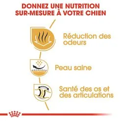 Royal Canin - Croquettes Bulldog Adult Pour Chiens - 3Kg -Animalerie Boutique 74368