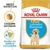 Royal Canin - Croquettes Puppy Labrador Retriever Pour Chiots - 3Kg -Animalerie Boutique 74382