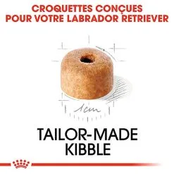 Royal Canin - Croquettes Puppy Labrador Retriever Pour Chiots - 3Kg -Animalerie Boutique 74383
