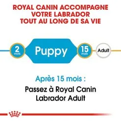 Royal Canin - Croquettes Puppy Labrador Retriever Pour Chiots - 3Kg -Animalerie Boutique 74384