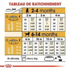 Royal Canin - Croquettes Puppy Labrador Retriever Pour Chiots - 3Kg -Animalerie Boutique 74386