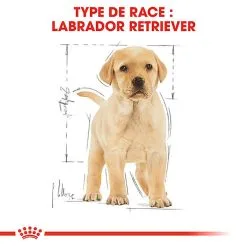 Royal Canin - Croquettes Puppy Labrador Retriever Pour Chiots - 3Kg -Animalerie Boutique 74387