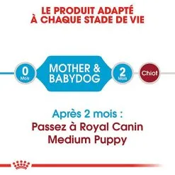 Royal Canin - Croquettes Starter Mother & Babydog Medium Pour Chiennes Et Chiots - 4KG 9 Royal Canin - Croquettes Starter Mother & Babydog Medium Pour Chiennes Et Chiots - 4KG -Animalerie Boutique 74401