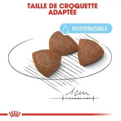 Royal Canin - Croquettes Starter Mother & Babydog Medium Pour Chiennes Et Chiots - 4KG 11 Royal Canin - Croquettes Starter Mother & Babydog Medium Pour Chiennes Et Chiots - 4KG -Animalerie Boutique 74402