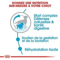 Royal Canin - Croquettes Starter Mother & Babydog Medium Pour Chiennes Et Chiots - 4KG 10 Royal Canin - Croquettes Starter Mother & Babydog Medium Pour Chiennes Et Chiots - 4KG -Animalerie Boutique 74403