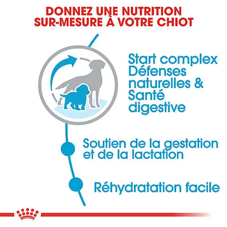 Royal Canin - Croquettes Starter Mother & Babydog Medium Pour Chiennes Et Chiots - 4KG 5 Royal Canin - Croquettes Starter Mother & Babydog Medium Pour Chiennes Et Chiots - 4KG – Image 3