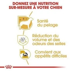 Royal Canin - Croquettes Maltese Adult Bichon Maltais Pour Chiens - 1,5Kg -Animalerie Boutique 74409