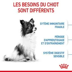 Royal Canin - Croquettes Puppy X-Small Pour Chiots - 3Kg -Animalerie Boutique 74425
