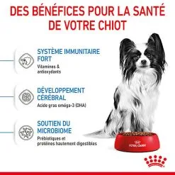 Royal Canin - Croquettes Puppy X-Small Pour Chiots - 3Kg -Animalerie Boutique 74427