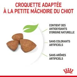 Royal Canin - Croquettes Puppy X-Small Pour Chiots - 3Kg -Animalerie Boutique 74428
