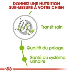 Royal Canin - Croquettes X-Small Adult Pour Petits Chiens - 1,5Kg -Animalerie Boutique 74432