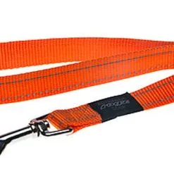 Rogz - Laisse Utility Orange Pour Chiens - 120x2,5cm