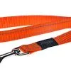 Rogz - Laisse Utility Orange Pour Chiens - 140x2cm
