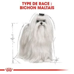 Royal Canin - Croquettes Maltese Adult Bichon Maltais Pour Chiens - 1,5Kg -Animalerie Boutique 74609