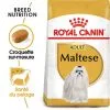 Royal Canin - Croquettes Maltese Adult Bichon Maltais Pour Chiens - 1,5Kg -Animalerie Boutique 74612