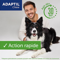 Adaptil - Bouchées Moelleuses D'Appaisement Adaptil Chew Pour Chiens - X30 -Animalerie Boutique 75216