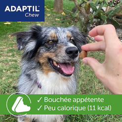 Adaptil - Bouchées Moelleuses D'Appaisement Adaptil Chew Pour Chiens - X30 -Animalerie Boutique 75217