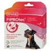 Beaphar - Pipettes Antiparasitaires Fiprotec Pour Petit Chien - X4 -Animalerie Boutique 76726