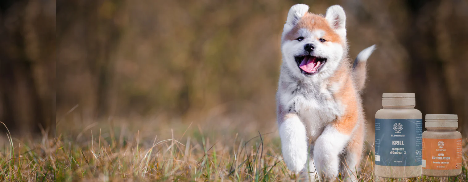 Animalerie Boutique -Animalerie Boutique 4 ae099035 653f 4caf 82a8 3e247adcdf29